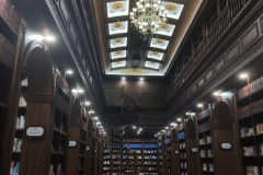 武汉大学  林先生作品