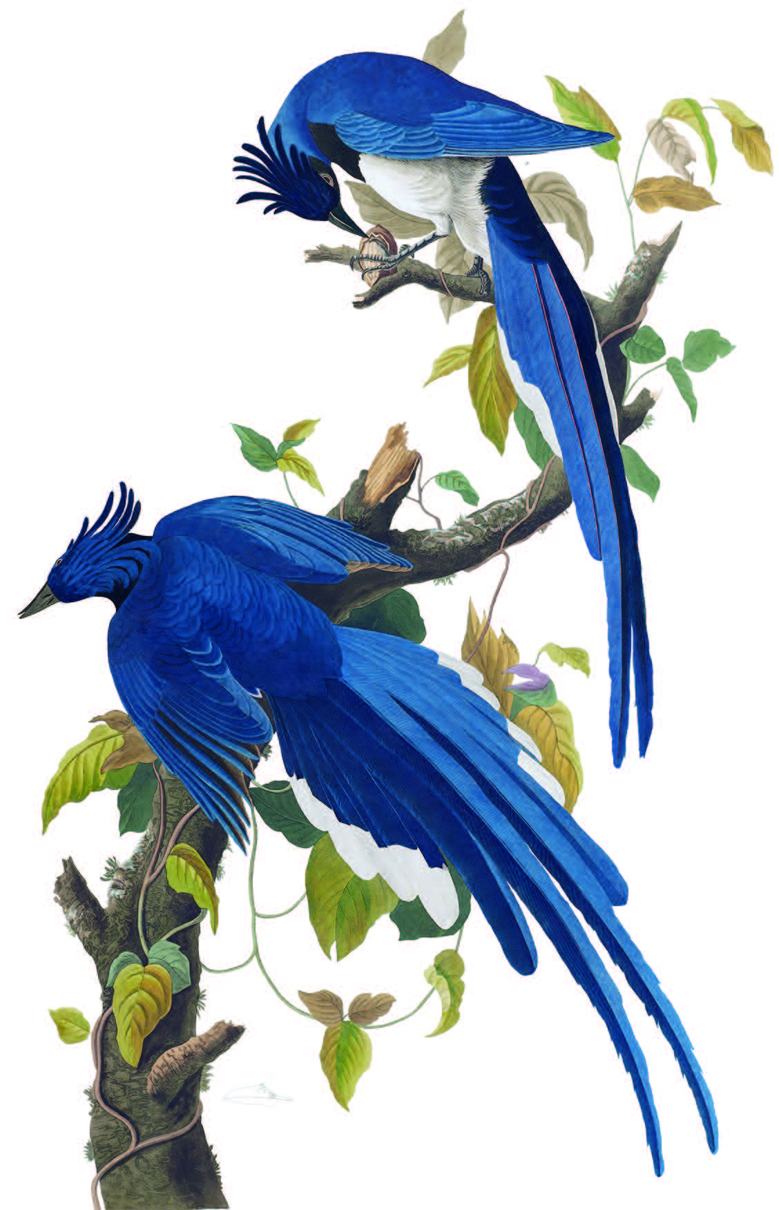 hahabet星辰大海-官网登录入口