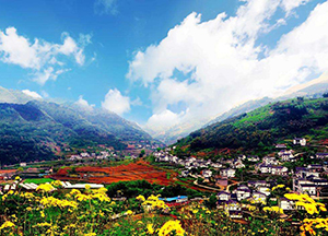 hahabet星辰大海-官网登录入口