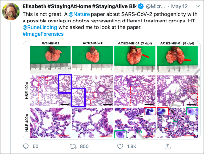 hahabet星辰大海-官网登录入口