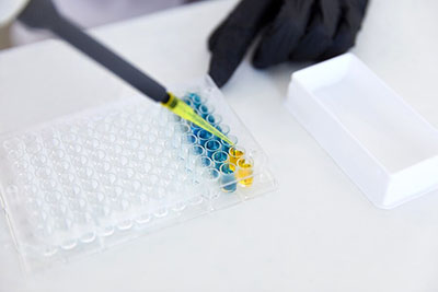 hahabet�ǳ���-������¼���