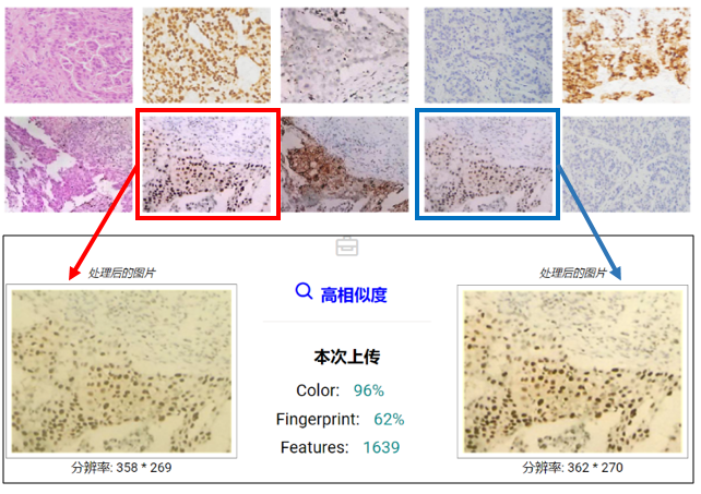 hahabet星辰大海-官网登录入口
