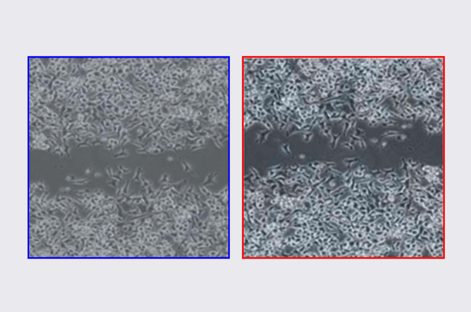 hahabet星辰大海-官网登录入口