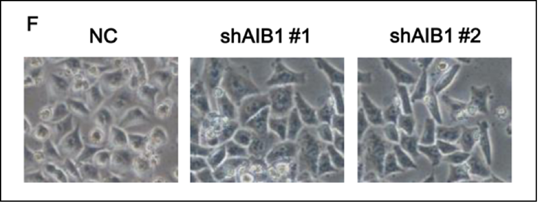 hahabet星辰大海-官网登录入口