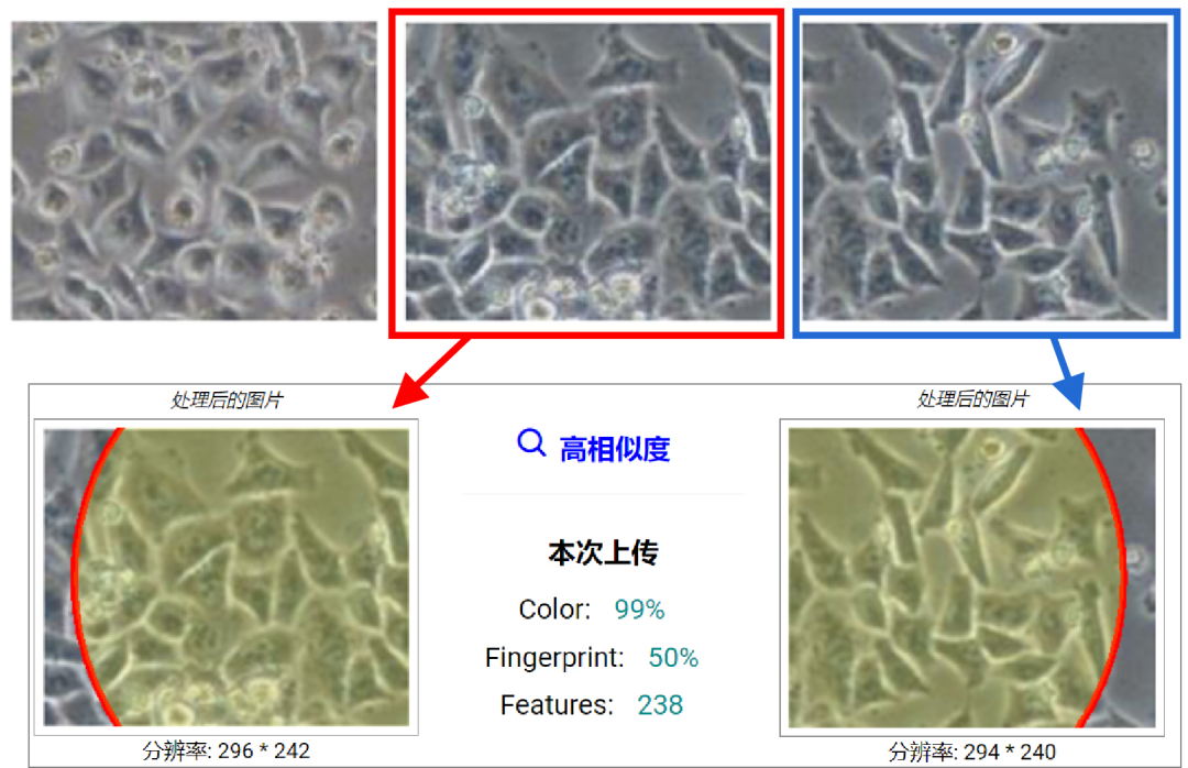 hahabet星辰大海-官网登录入口