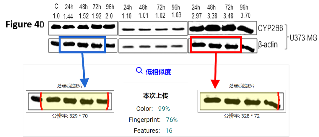 hahabet星辰大海-官网登录入口