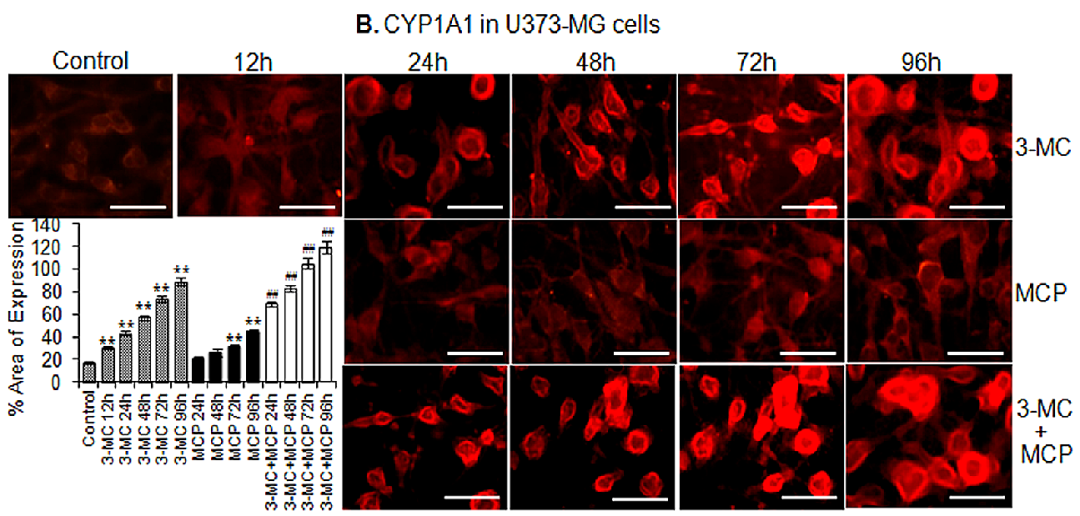 hahabet星辰大海-官网登录入口