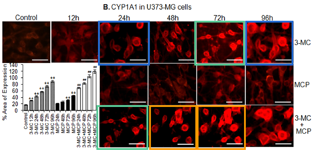 hahabet星辰大海-官网登录入口