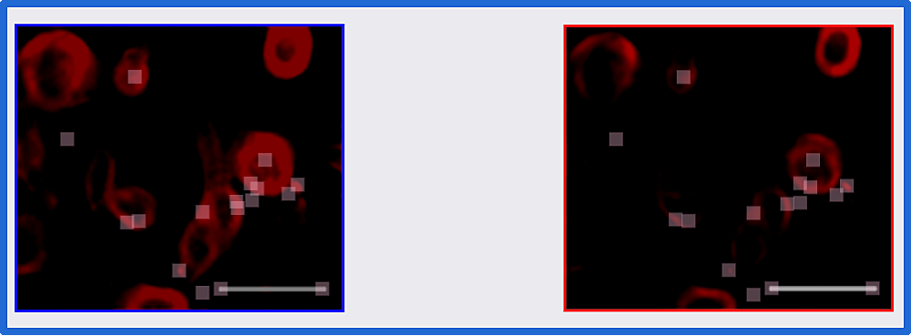 hahabet星辰大海-官网登录入口