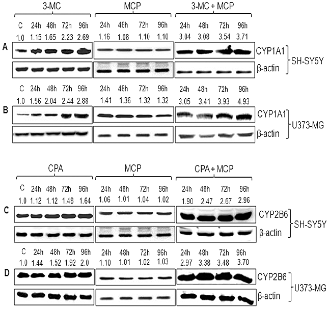 hahabet星辰大海-官网登录入口