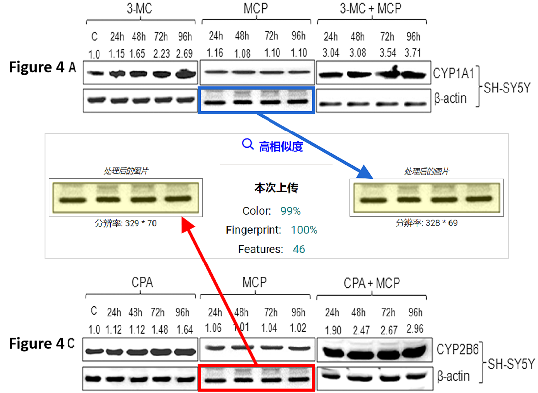 hahabet星辰大海-官网登录入口
