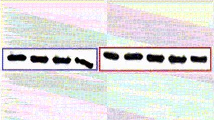hahabet星辰大海-官网登录入口