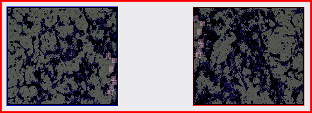 hahabet星辰大海-官网登录入口