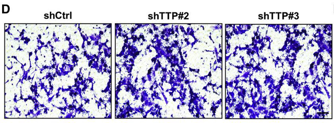 hahabet星辰大海-官网登录入口