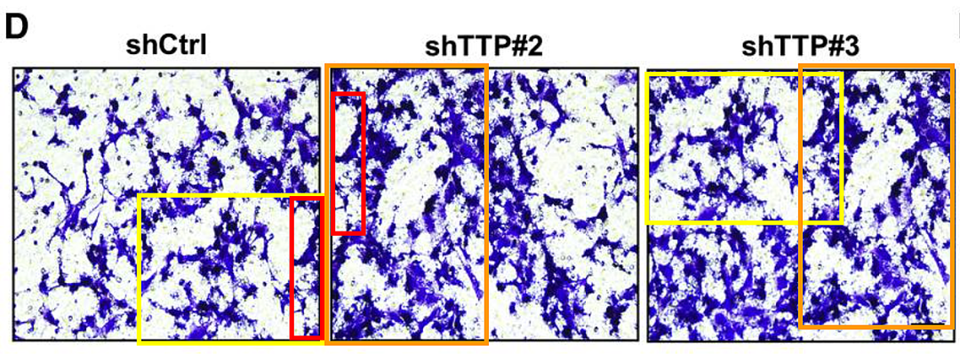 hahabet星辰大海-官网登录入口