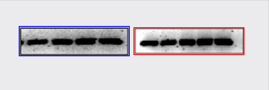 hahabet星辰大海-官网登录入口