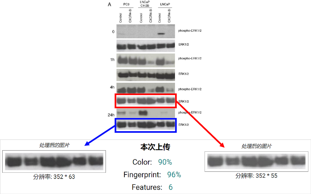 hahabet星辰大海-官网登录入口