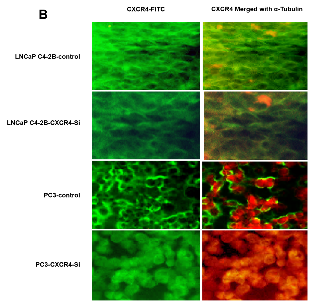 hahabet星辰大海-官网登录入口