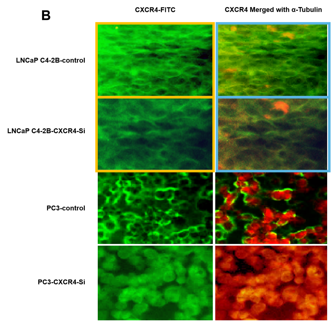 hahabet星辰大海-官网登录入口