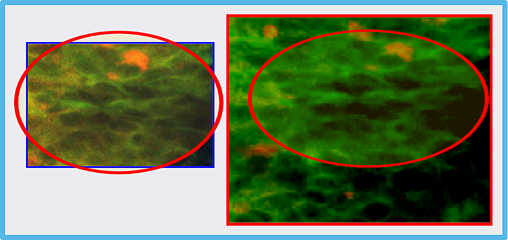 hahabet星辰大海-官网登录入口
