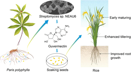 hahabet星辰大海-官网登录入口