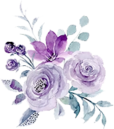 hahabet星辰大海-官网登录入口