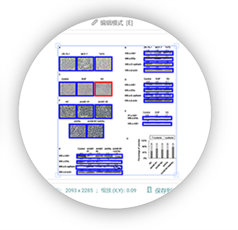 hahabet星辰大海-官网登录入口